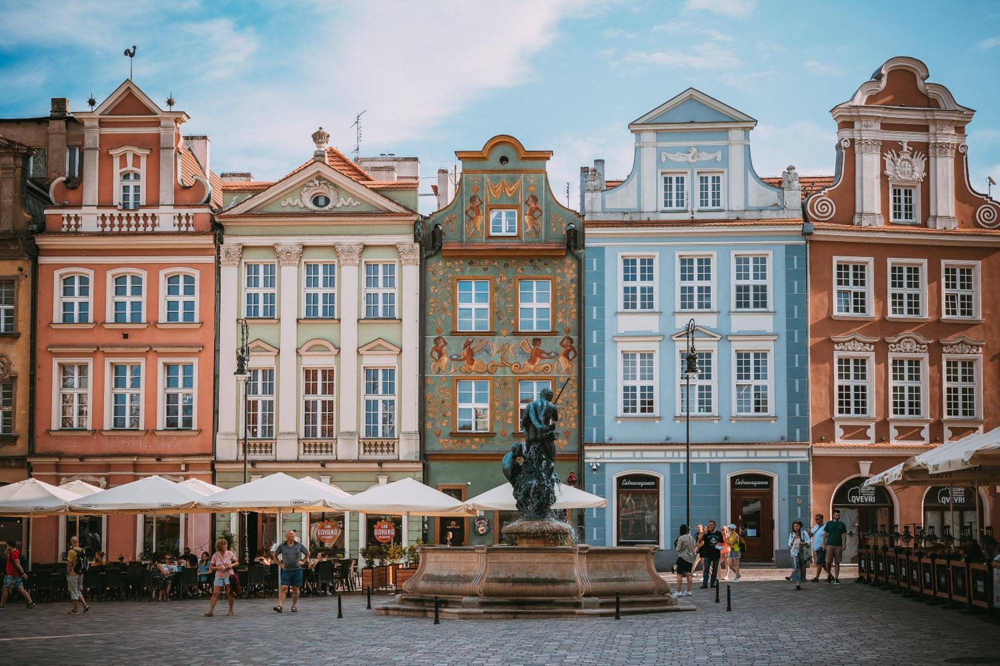 2homerent Niedzialkowskiego 24 *